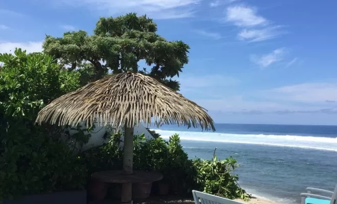 Ombrage Palmex, Saint-Pierre, Store Réunion